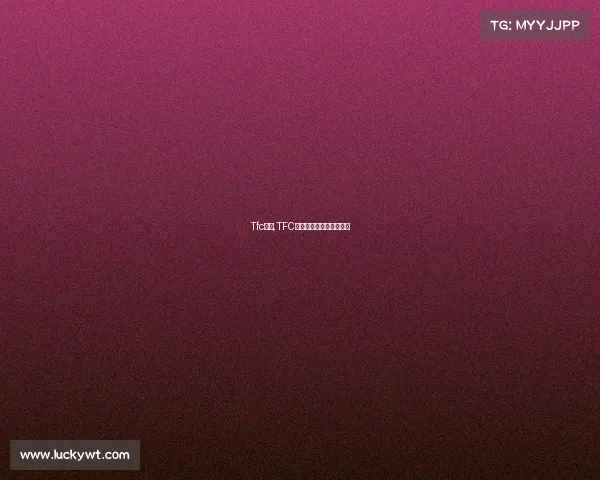 Tfc赛事,TFC全国总决赛战火即将点燃