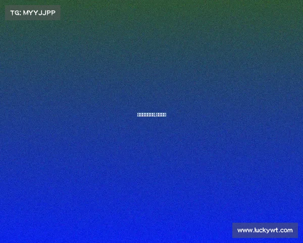 全新的赛事官网,赛事入口